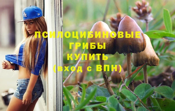 мяу мяу кристалл Бородино