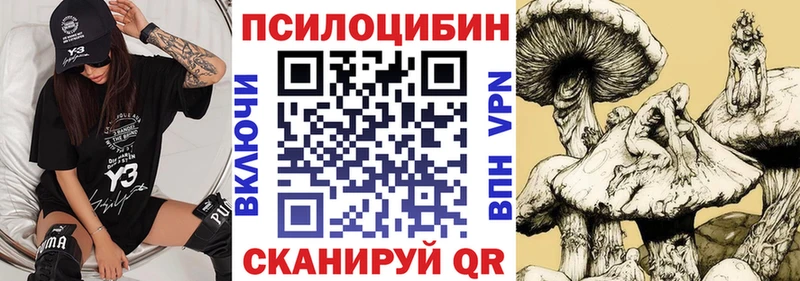 Псилоцибиновые грибы Cubensis  дарнет шоп  Копейск 